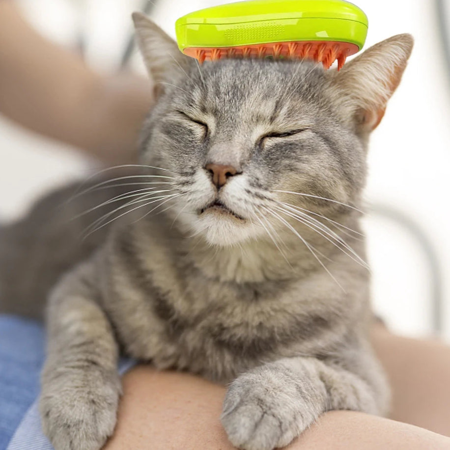 3 in 1 Cat Steamy Brush Dog Grooming Comb Self Cleaning Steam Cat Brush for Massage Dog Cat Hair Remover Comb Pet Grooming Brush
